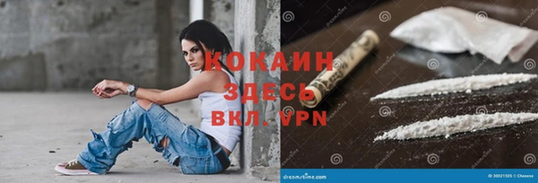 дурь Богородицк