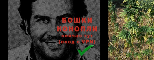 дурь Богородицк