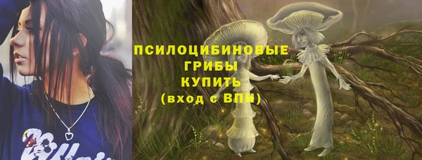 мяу мяу мука Богданович