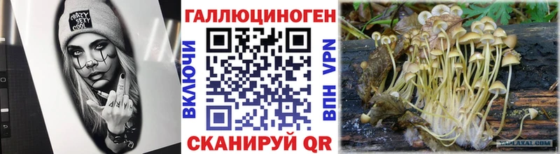 Псилоцибиновые грибы мухоморы  МЕГА tor  Великий Новгород 