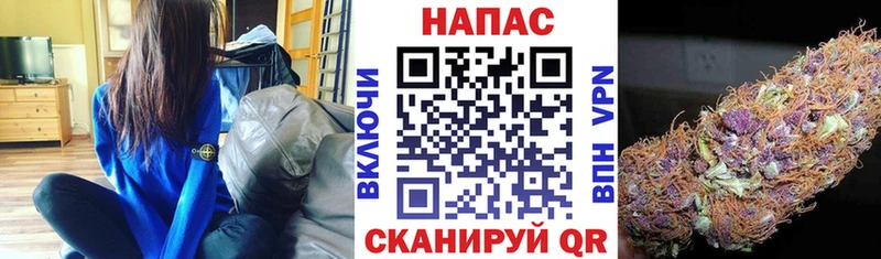 Марихуана тримм Великий Новгород